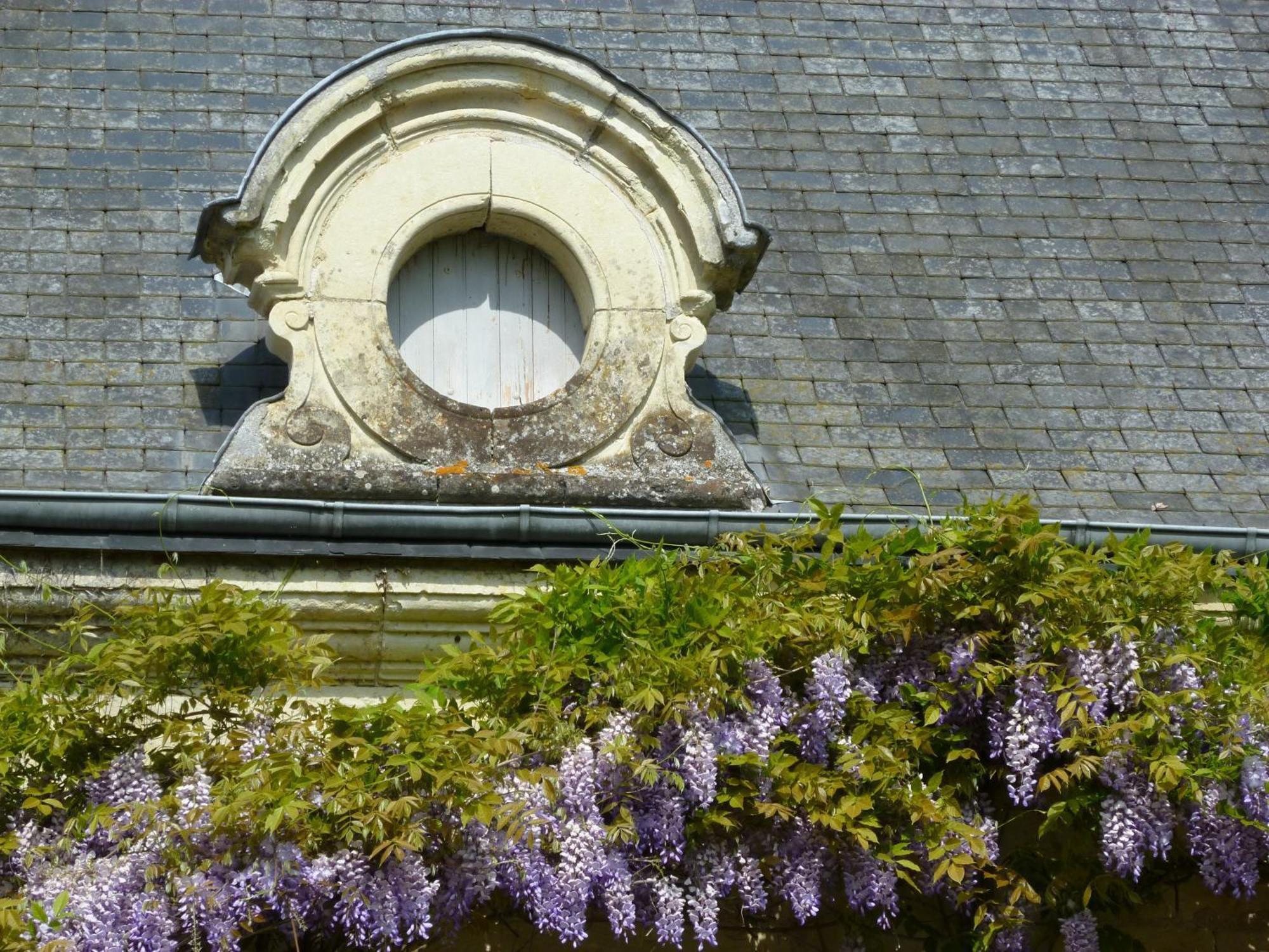 Le Coudray-Macouard Manoir De Boisairault B&B 외부 사진