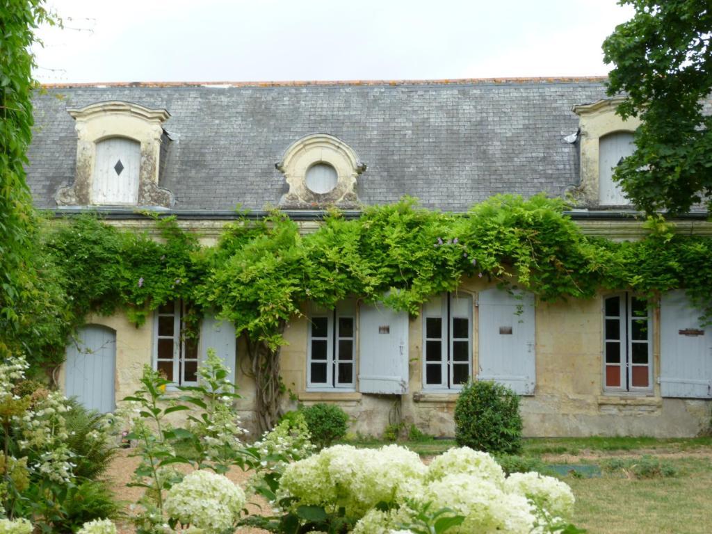 Le Coudray-Macouard Manoir De Boisairault B&B 외부 사진