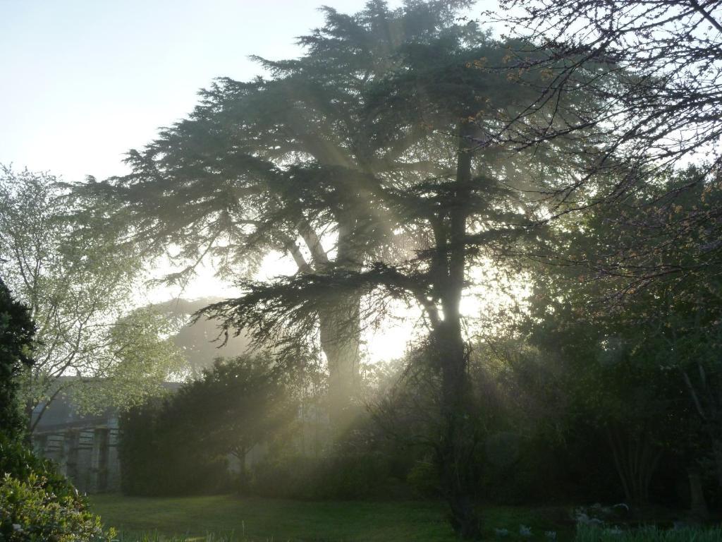 Le Coudray-Macouard Manoir De Boisairault B&B 외부 사진