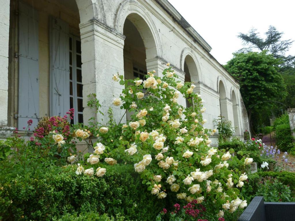 Le Coudray-Macouard Manoir De Boisairault B&B 외부 사진