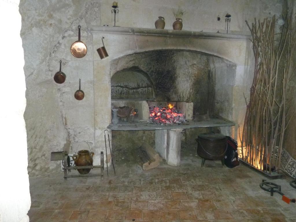 Le Coudray-Macouard Manoir De Boisairault B&B 외부 사진