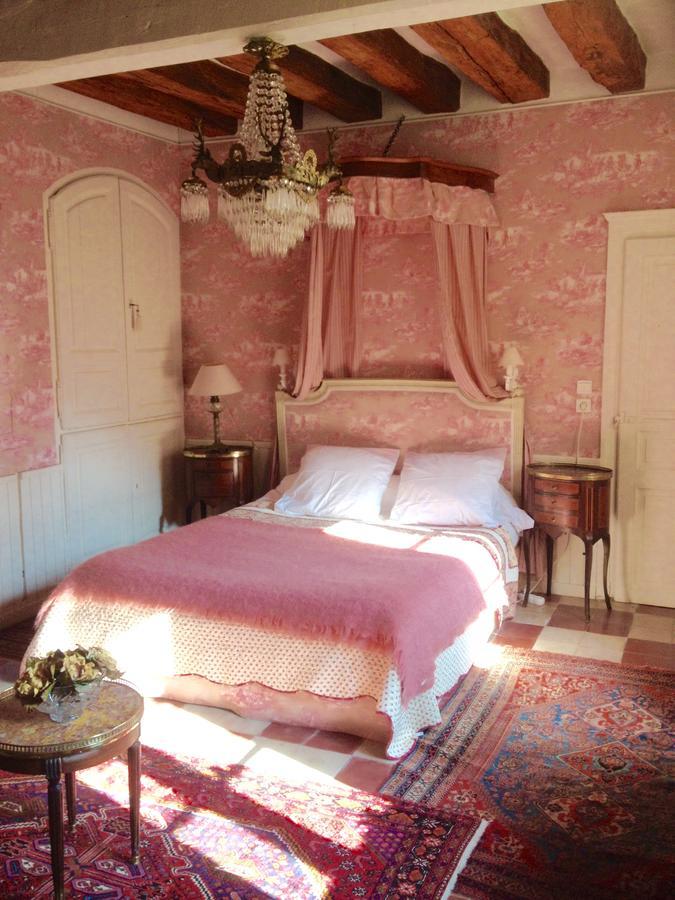 Le Coudray-Macouard Manoir De Boisairault B&B 외부 사진